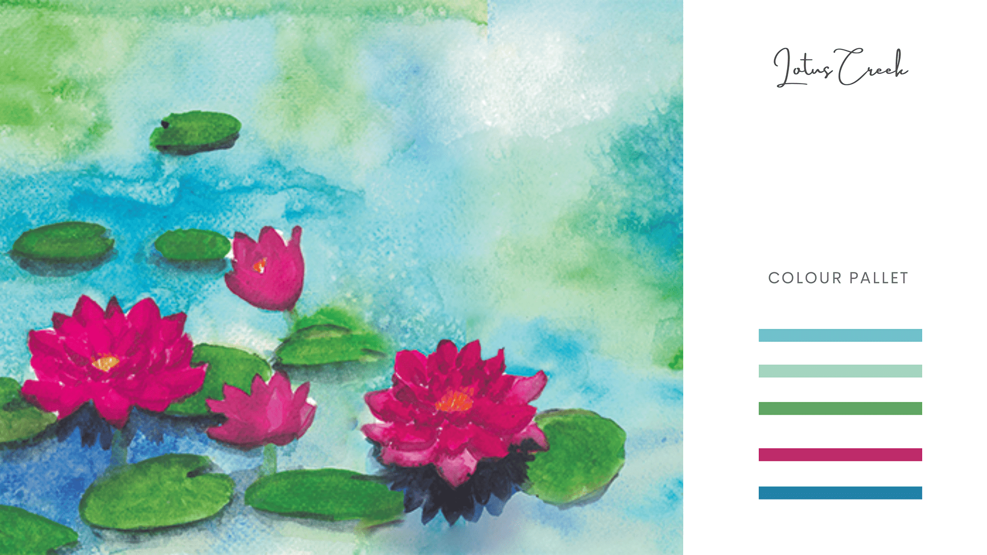 Lotus Creek — waterlilies in blue and magenta.