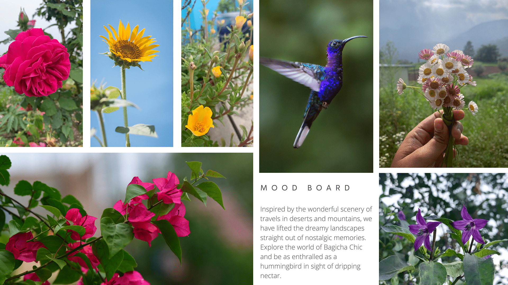 Mood board — florals, hummingbirds and dreamy landscapes from travel memories.